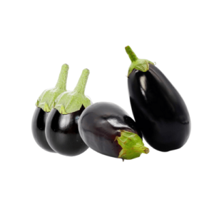 black-eggplant-long-round